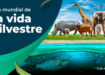 Hoy es el Día Mundial de la Vida Silvestre