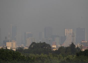 La contaminación de la CDMX puede provocar mutaciones genéticas en bebés