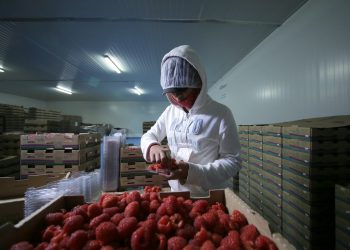 México prevé una producción de alimentos al alza en 2023