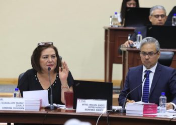Declara INE validez y definitividad del Padrón y Lista Nominal para elecciones en Coahuila y Estado de México