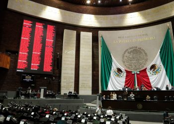 Aprueban Iniciativa presidencial con sanciones más severas para la tala ilegal, esto es lo que dice
