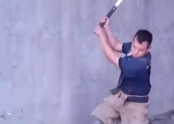 Denunciarán a bomberos de Monclova por crueldad animal