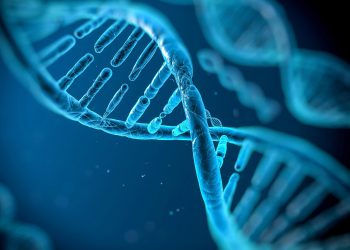 Una nueva técnica genética puede reducir el problema de la mutación