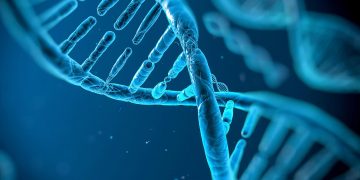 Una nueva técnica genética puede reducir el problema de la mutación