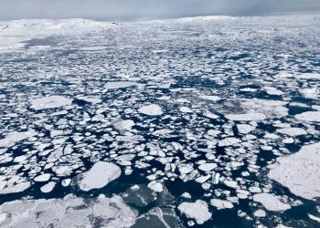 ¿Extensión de hielo marino retrocedió a mínimos históricos en 2022? Esto dice la OMM