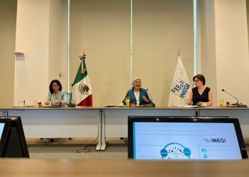 Lanzarán una consulta para actualizar los datos del Índice Nacional de Precios al Consumidor