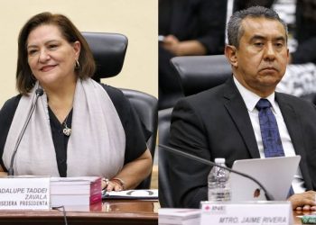 Guadalupe Taddei y Jorge Montaño no cumplen con la imparcialidad que se requiere, para integrar el INE: PAN 