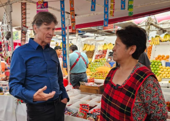 ¿Qué podemos hacer como ciudadanos para evitar el deterioro de la democracia?