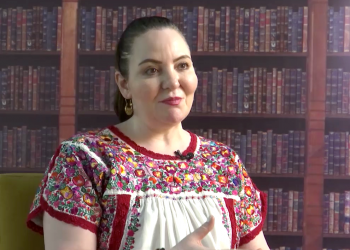 Esta iniciativa pretende disminuir las atribuciones del Tribunal Electoral, porque consideran que se ha excedido en su forma de interpretar la ley