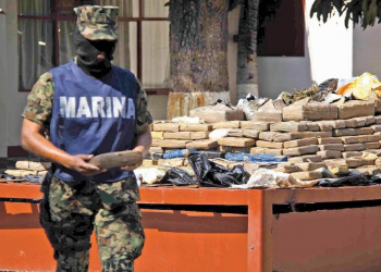 Semar da a conocer datos sobre decomisos de precursores químicos