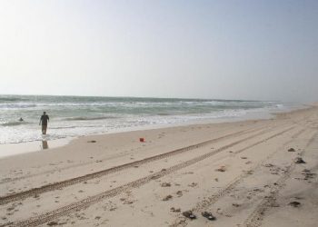 Aparece gran cantidad de peces muertos en las costas de este país