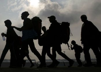 ¿Sabes cuántos migrantes centroamericanos han sido aprendidos en México y Estados Unidos durante 2023? Aquí te decimos