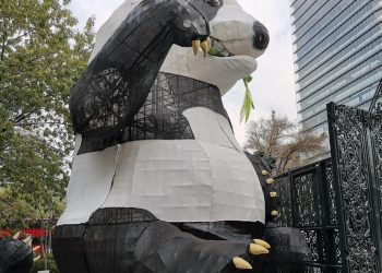 ¿Ya viste al panda gigante que da la bienvenida en Chapultepec?