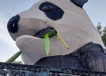 ¿Ya viste al panda gigante que da la bienvenida en Chapultepec?