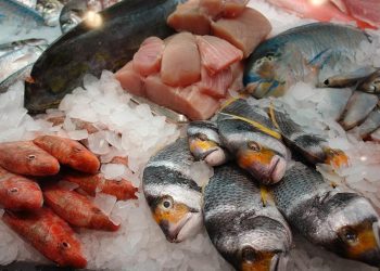 ¿Son de calidad los mariscos que vas a consumir esta Semana Santa? Una experta te dice como identificarlos