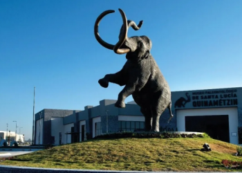 Podría quedar lista la Ruta del Mamut, te contamos