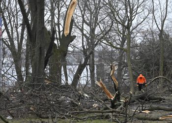 Aumentan los muertos por tornados en Estados Unidos