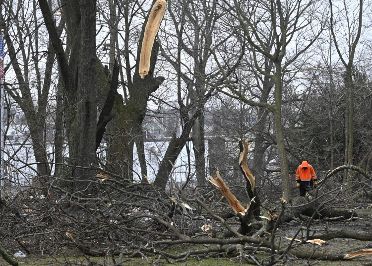 Belvidere (United States), 01/04/2023.- A man clears fallen trees following a tornado in Belvidere, Illinois, USA, 01 April 2023. A man was killed and more than two dozen injured after the roof of the Apollo Theatre collapsed on 31 March evening, according to fire officials. Numerous tornadoes were confirmed across a huge area of the center of the US a week after at least 25 people were killed in Mississippi after a tornado and severe weather outbreak. (Incendio, Estados Unidos) EFE/EPA/MATT MARTON