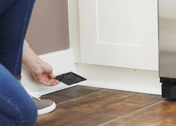 Prohíben las trampas con pegamento para roedores, aquí el motivo