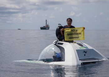 Urgen proteger arrecifes descubiertos en el Golfo de México ante nuevo gasoducto