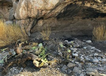 Autoridades mexicanas interponen demanda por saqueo en sitio arqueológico