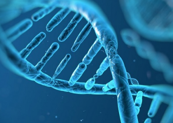 Bacterias de la edad de piedra, un gran aliado para nuevos fármacos