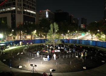 Pide PAN un informe del nuevo ahuehuete plantado en Reforma