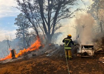 En riesgo viviendas y pobladores por incendio en bosque de Cuernavaca
