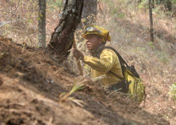 Así va el control del incendio registrado en los límites de Tepoztlán y Tlayacapan