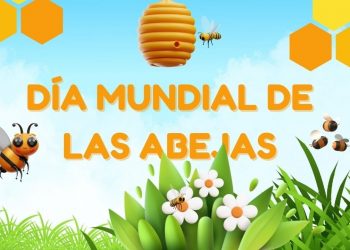 Día Mundial de las Abejas