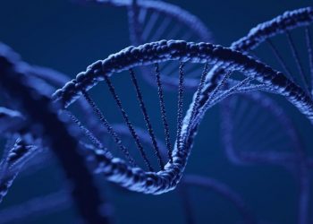 ADN revela que hubo migraciones humanas en la Edad de Hielo de China a América