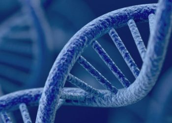 ¿Un bebé puede tener el ADN de tres personas? Aquí te contamos