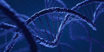 ADN revela que hubo migraciones humanas en la Edad de Hielo de China a América