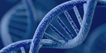¿Un bebé puede tener el ADN de tres personas? Aquí te contamos