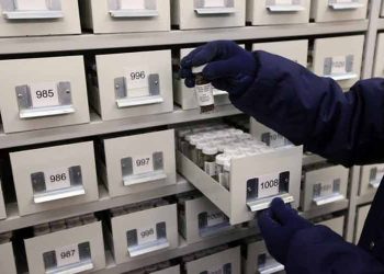 El Reino Unido posee un arca de Noé subterránea con plantas del mundo