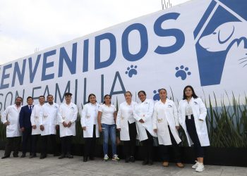 Inauguran el primer hotel para perros y gatos abandonados en CDMX