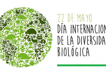 Día Internacional de la Diversidad Biológica