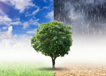 Esto gasta el mundo para atender efectos del cambio climático