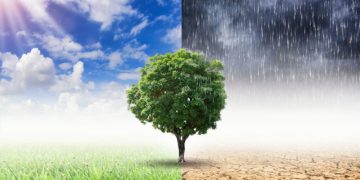 Esto gasta el mundo para atender efectos del cambio climático