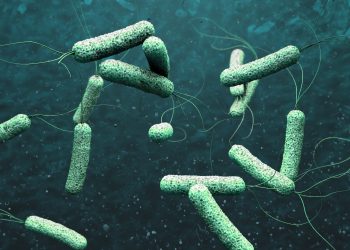 La OMS alerta del aumento de brotes mortales de esta enfermedad