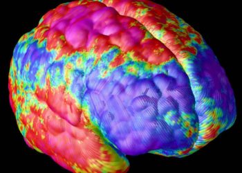 Descubren factor implicado en el desarrollo de la esquizofrenia