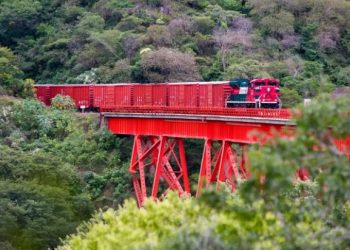 Recuperación de Ferrosur no tiene nada que ver con compra de Grupo México de Banamex