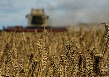 Rusia advierte de que se complica el cumplimiento del acuerdo del grano