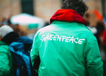Esta es la petición que le hicieron Greenpeace y otras organizaciones a la ONU