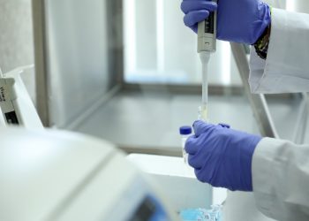 Trabajan especialistas del IMSS para contribuir en terapia celular que repare daño del páncreas por diabetes tipo 2