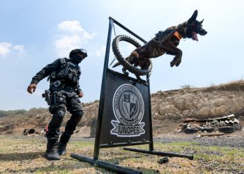 Fortalecen la Unidad K-9 de la Policía de Atizapán de Zaragoza