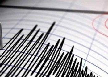 ¿Microsismos auguran un terremoto de gran intensidad en la CDMX?