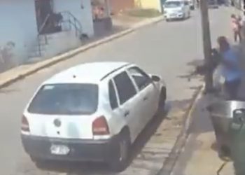 Reprueba GEM cualquier tipo de violencia y maltrato contra animales