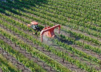 Tres químicos comunes en la industria tendrán que eliminarse por sus efectos tóxicos