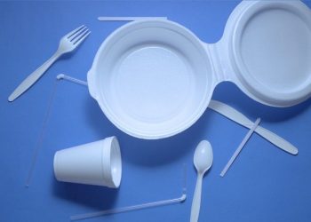 WWF pide prohibición global de los cubiertos desechables y otros plásticos de uso diario